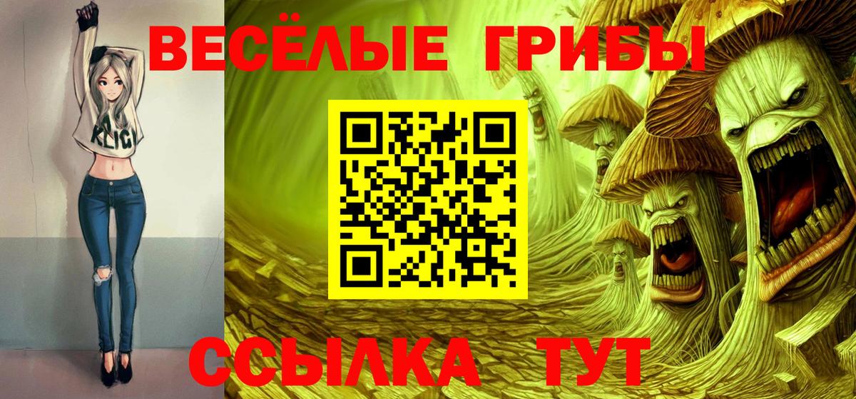 Псилоцибиновые грибы MAGIC MUSHROOMS Выборг